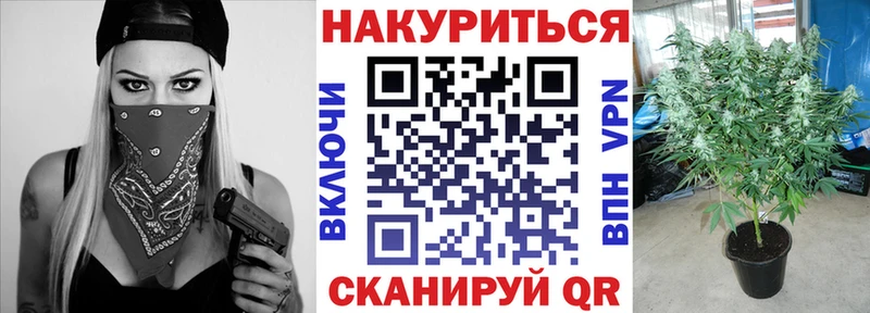 Купить  Старая Русса  Бошки Шишки AK-47 